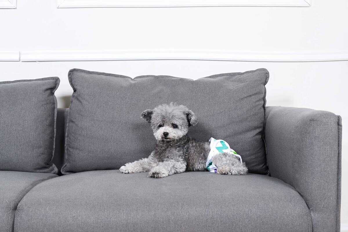 Pañales Reutilizables Duraderos Absorbentes de Tela para - Imagen 9