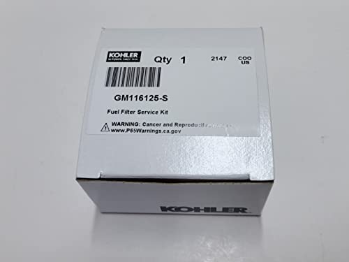 Kit de Mantenimiento SCP con Bujías y Filtro de Combustible - Imagen 4