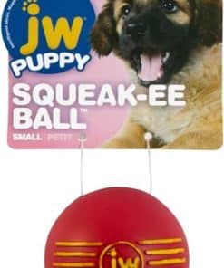 JW Pet Squeak Squeaker Jugute para Perros y Cachorros