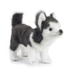 Peluche de Cachorro de Husky Hansa Toys USA