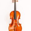 Violín D Z Strad Modelo 220 con cuerdas Dominant, arco,