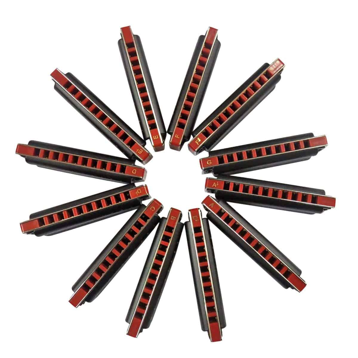 Set de 12 armónicas diatónicas de Blues East Top, Armónica - Imagen 4