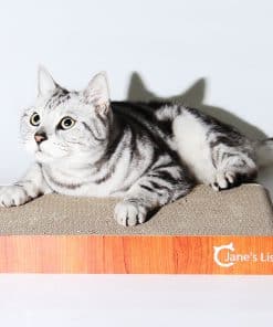 Rascador para gatos de Jane's List estilo plano extra ancho