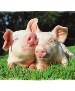 Manta de cerdo adorable YISUMEI 50"X80" para sofá - Suave y