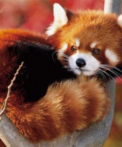 Manta de Tiro HommomH 50x80 Suave y Delgada para Aire