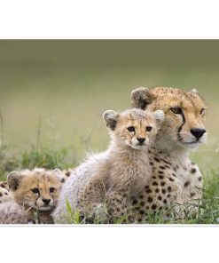 Manta YISUMEI 50x80 de Franela Suave Acogedora para Sofá