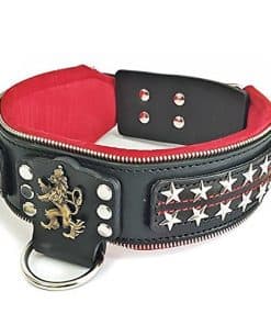 Collar de perro Bestia's The General de cuero genuino,