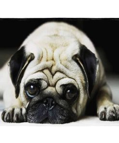 Manta YISUMEI 50" X 80" de Felpa Suave para Sofá - Diseño