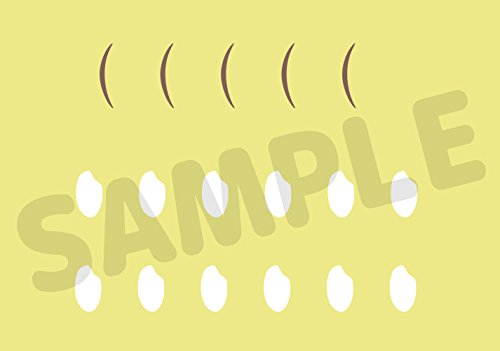 Figura de Acción Nendoroid Haikyu!! Keiji Akaashi de Orange - Imagen 7