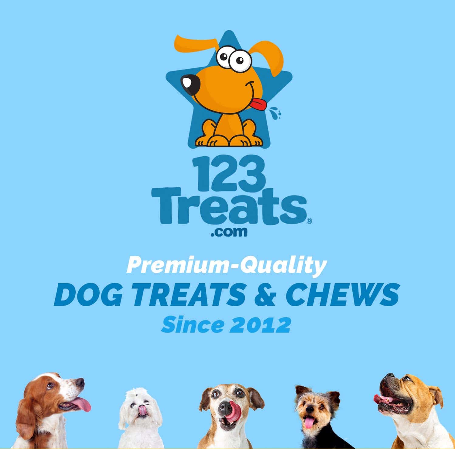 123 Treats | Palitos de Cuero Crudo para Perros - (30 - Imagen 10