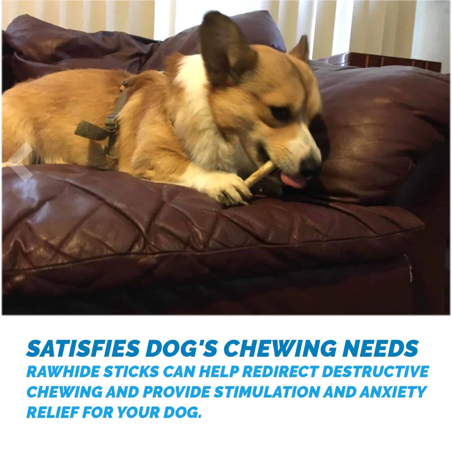 123 Treats | Palitos de Cuero Crudo para Perros - (30 - Imagen 5