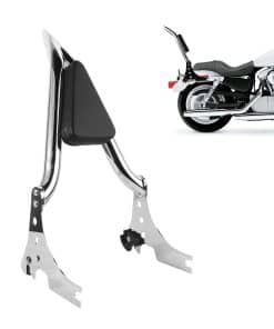 Espaldar de motocicleta con respaldo trasero desmontable y