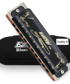 Armonica Diatónica Blues East top en clave de Paddy D, 10