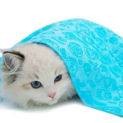 Toalla de baño de secado de Shirley&Linda para mascotas de - Imagen 9