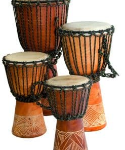 Djembe tallado para principiantes, 16" de alto, cabeza de