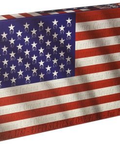 Rompecabezas de 1000 piezas Educa Fifty States and One Flag