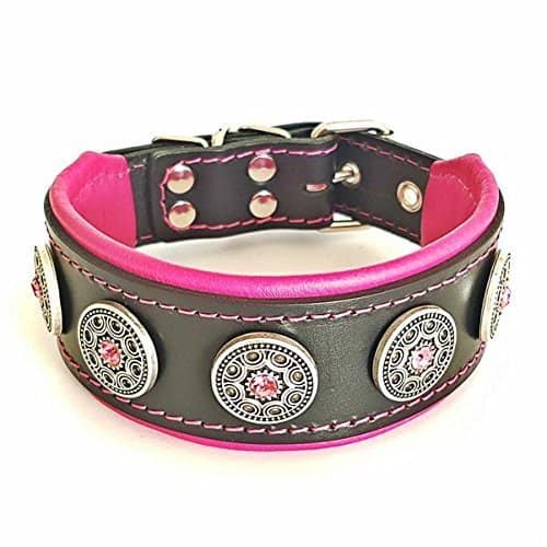 Collar para Perro Bestia Bijou Hecho a Mano. Tachonado.