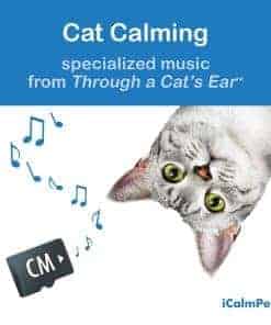 iCalmPet | Through a Cat's Ear: Cat Calming | Tarjeta