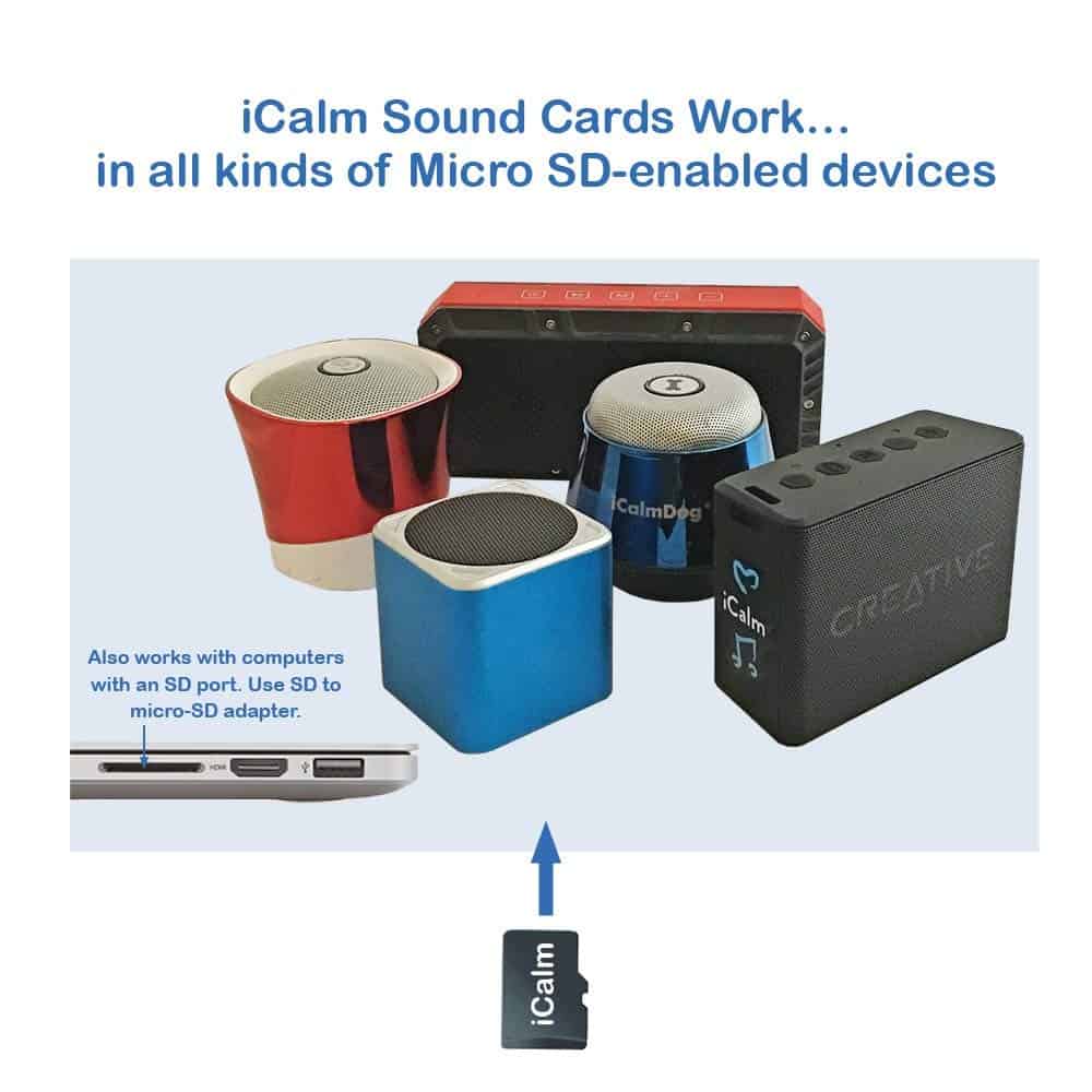 iCalmPet | Through a Cat's Ear: Cat Calming | Tarjeta - Imagen 6