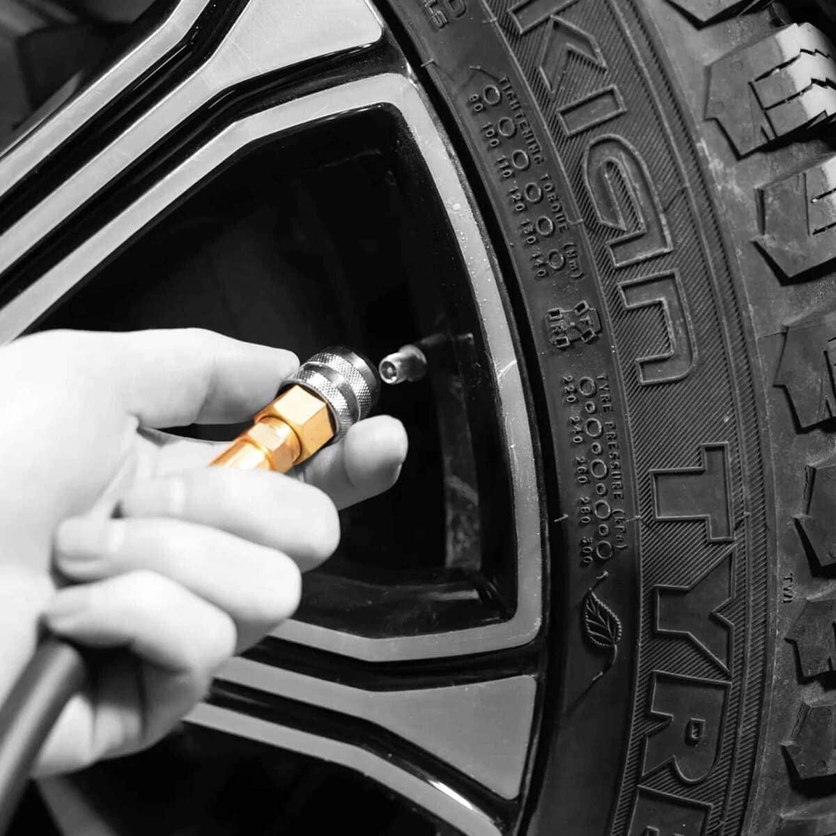 Inflador Desinflador de Neumáticos Automático Martins - Imagen 8