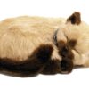 Peluche de gato siamés Perfect Petzzz El Cachorro que