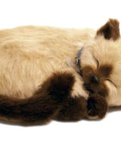Peluche de gato siamés Perfect Petzzz El Cachorro que