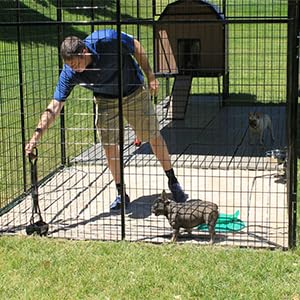 Tanque Séptico In-Ground de la Tienda de Perreras K9: - Imagen 9