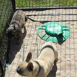 Tanque Séptico In-Ground de la Tienda de Perreras K9: - Imagen 10