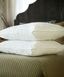 Par de Almohadas Rellenas de Seda. Seda de -de Morera