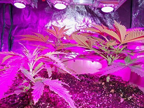 Tesfish Doble Disipador de Calor de Aluminio con Núcleo de - Imagen 8