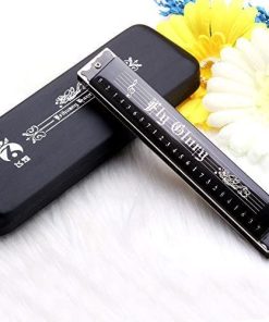 Armonica Mejor en Do 24 Orificios Principal Diatónica Doble