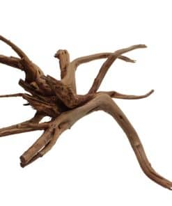 Decoración de Hábitat para Plantas y Peces Tropicales de