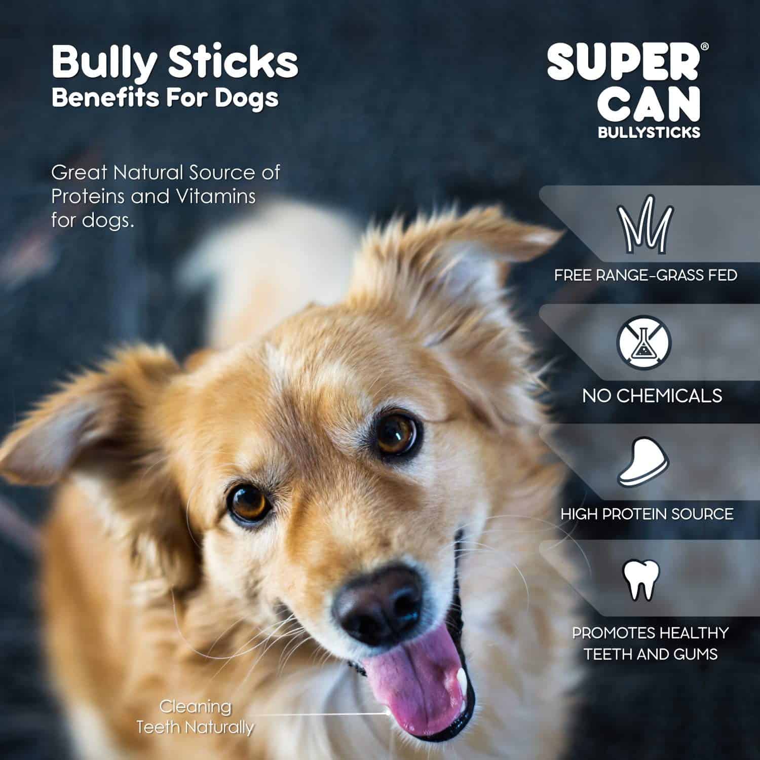 Supercan Bully Sticks para Perros 12" (20 Unidades) - 100% - Imagen 9