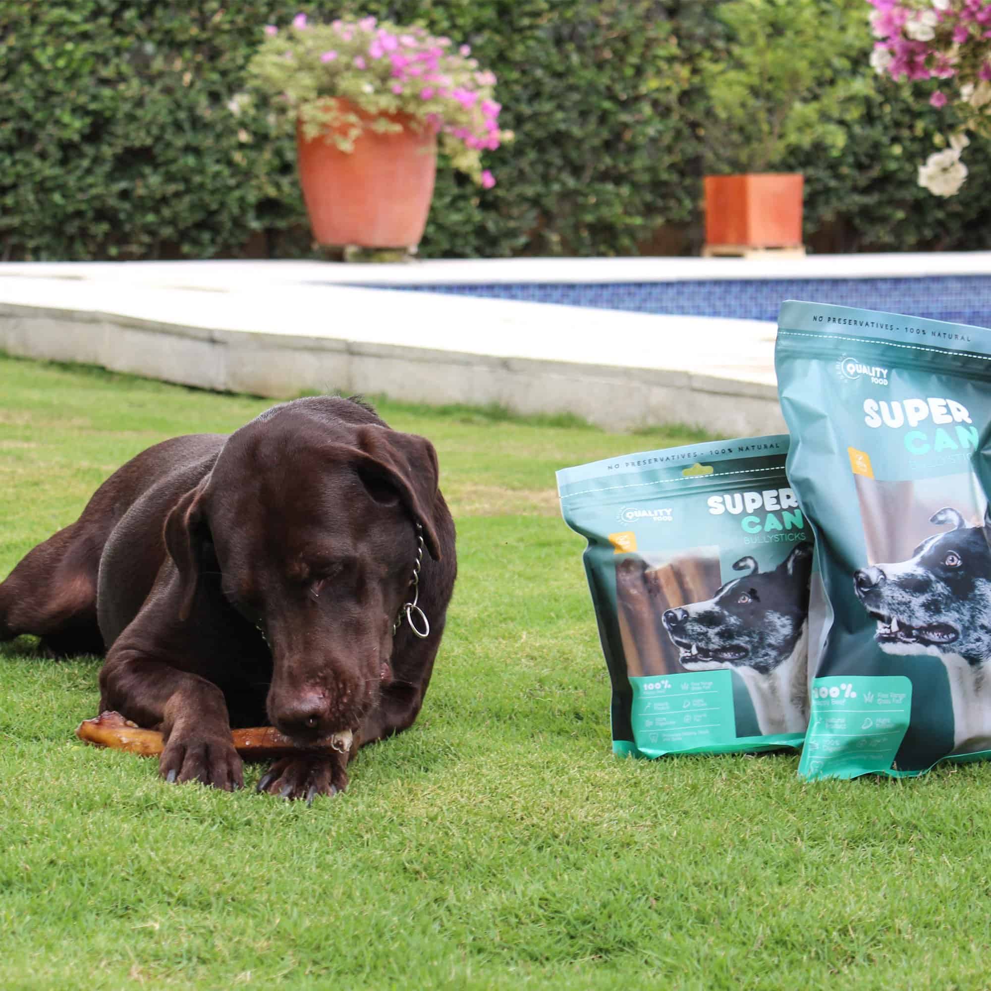 Supercan Bully Sticks para Perros 12" (20 Unidades) - 100% - Imagen 7