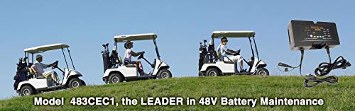 Cargador/Mantenedor/Desulfatador BatteryMINDer Modelo - Imagen 3