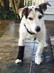 Venda de Muñeca Carpal (pequeña 2"-3") - Imagen 4