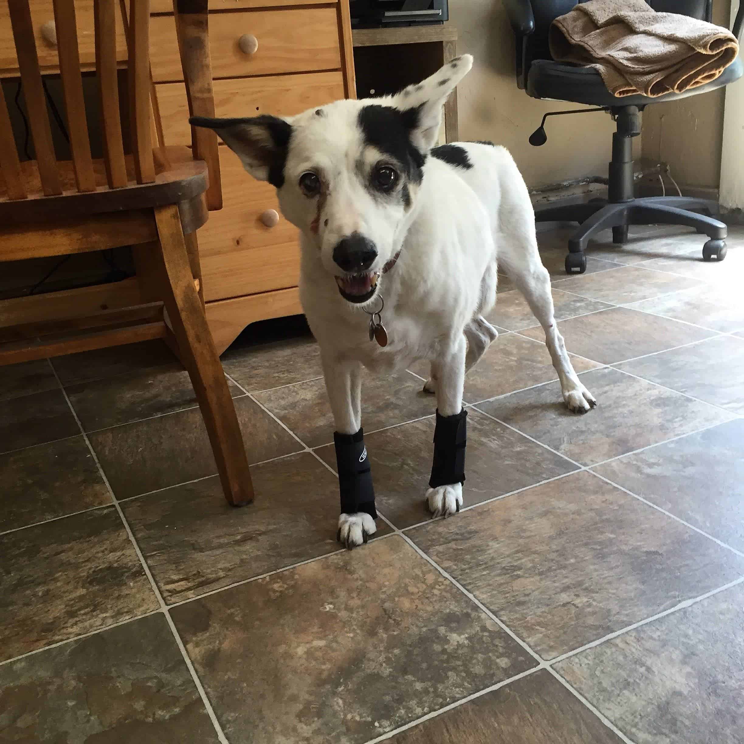 Venda de Muñeca Carpal (pequeña 2"-3") - Imagen 6