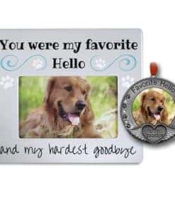 BANBERRY DESIGNS Regalos Conmemorativos para Mascotas -