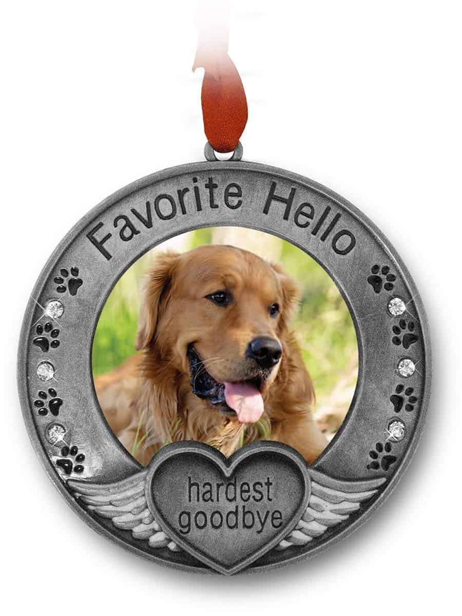 BANBERRY DESIGNS Regalos Conmemorativos para Mascotas - - Imagen 4