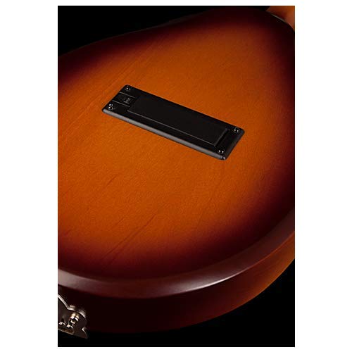 Mandolina Seagull S8 Sunburst EQ, Diestros, Mandolina - Imagen 6