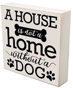 LifeSong Milestones Regalo para Amantes de Perros y Gatos,