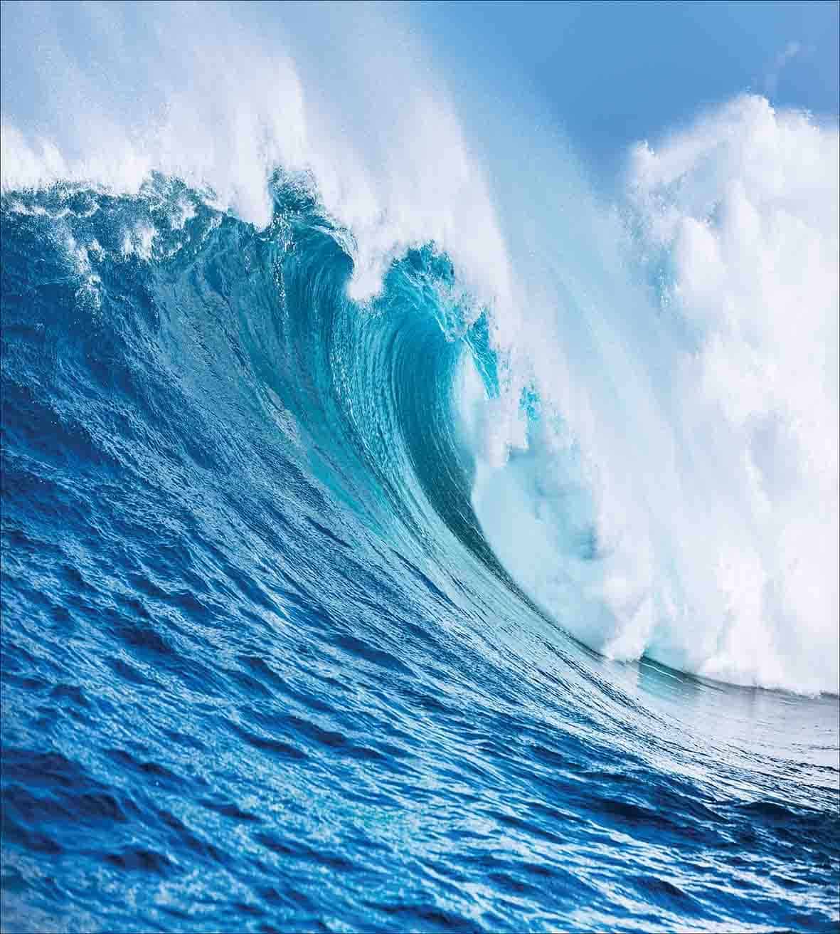 Juego de Funda nórdica Ambesonne Ocean, Juego de 2 piezas, - Imagen 3