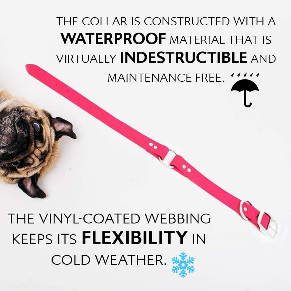 Collar para Perro Grande Impermeable Rosa de Regal Dog - Imagen 5