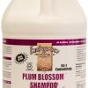 Shampoo Envirogroom Plum Blossom