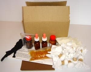 Kit de Pulido Francés ALS para Fabricante o Reparación de