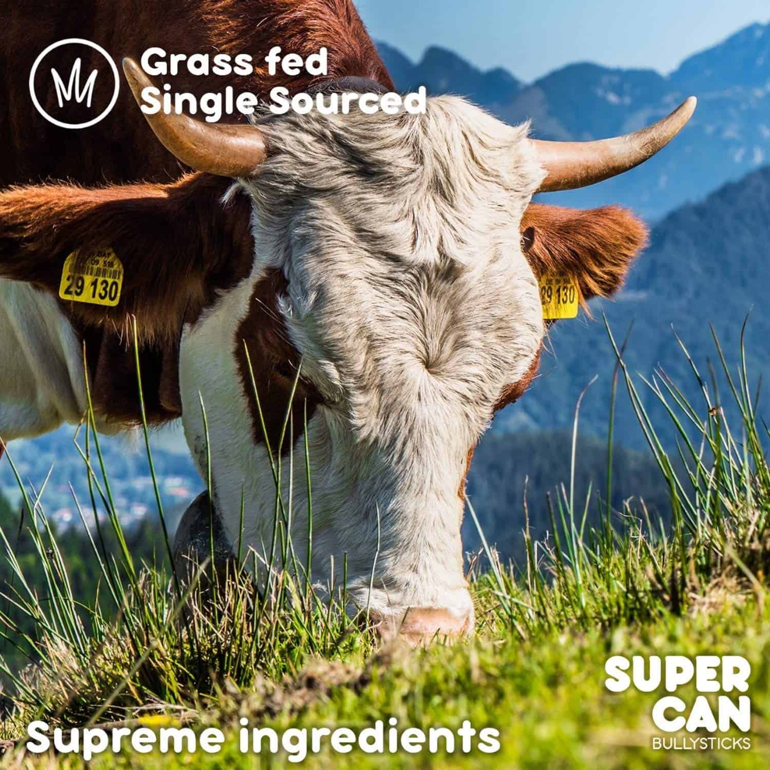 Supercan Bully Sticks para Perros 12" (20 Unidades) - 100% - Imagen 8