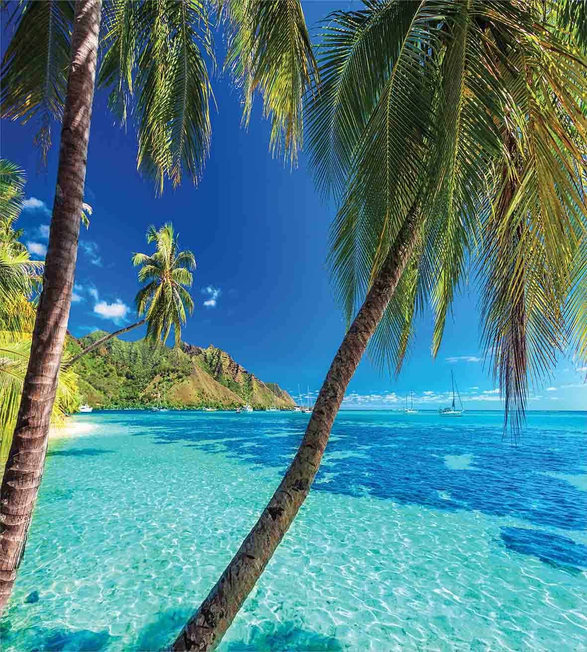 Juego de Funda Nórdica Ambesonne Ocean, Imagen de una Playa - Imagen 3