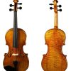 Viola Modelo N2011 de D Z Strad con Arco D Z Strad,
