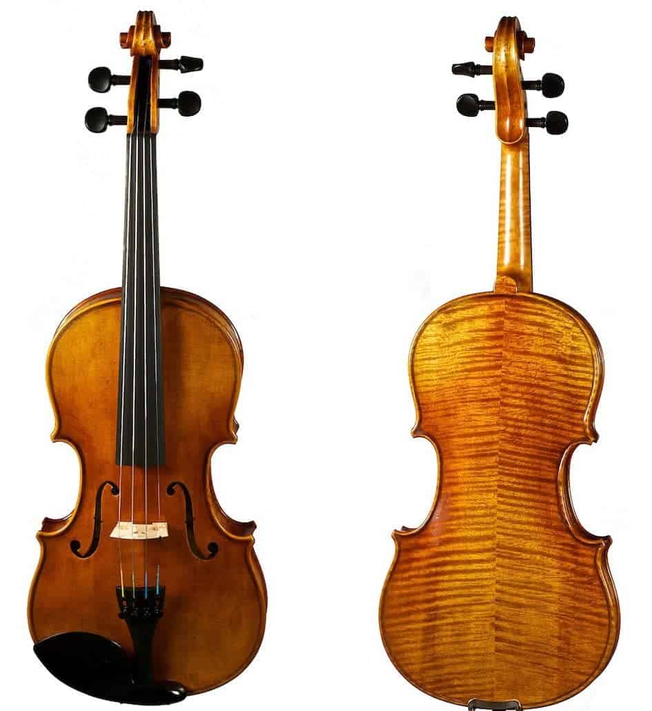 Viola Modelo N2011 de D Z Strad con Arco D Z Strad,