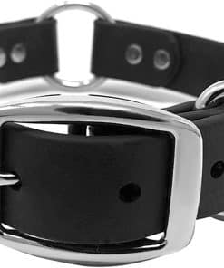 Collar de Perro Impermeable Negro Mediano de Regal Dog